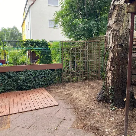 Unique Finken Ulm